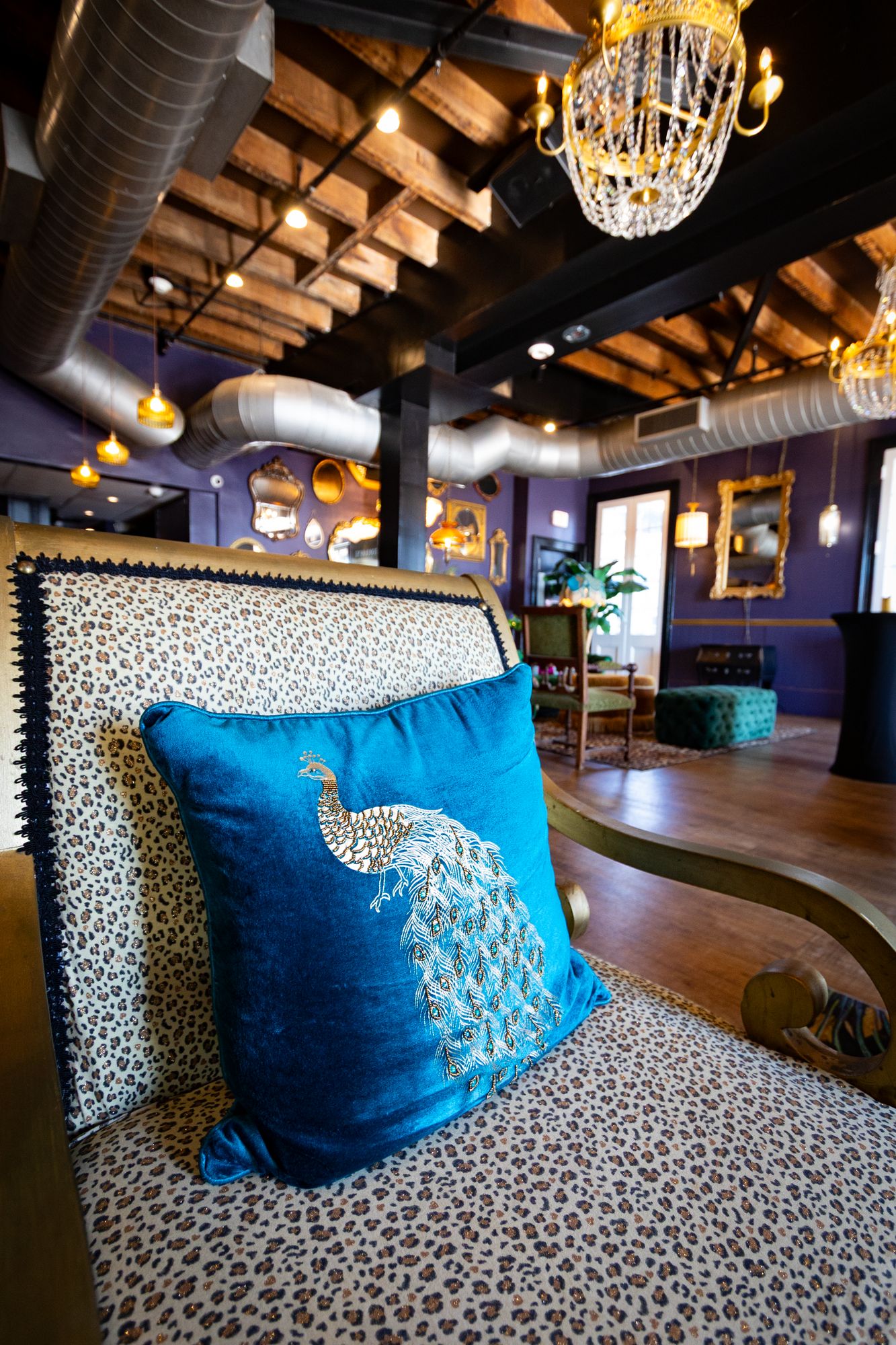 Peacock velvet pillow on a leopard-print armchair